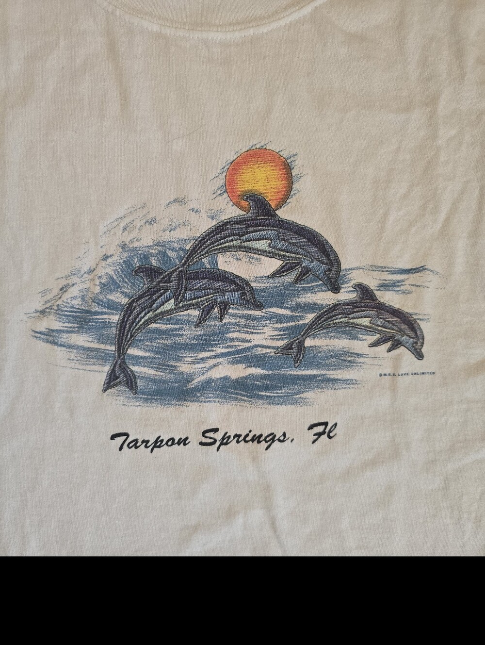 Gildan White Short Sleeve Tarpon Springs, FL Tee with Blue Dolphin Graphic